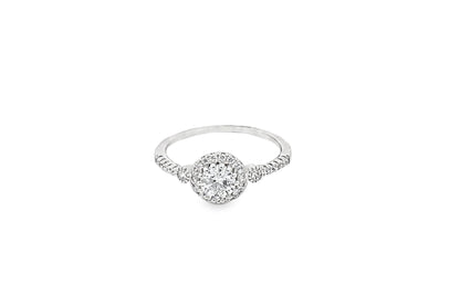 Elegant Halo Ring