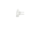 Elegant Diamond Circular Stud Earrings in 14K White Gold