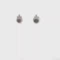Classic Round Brilliant Diamond Stud Earrings in Polished White Gold